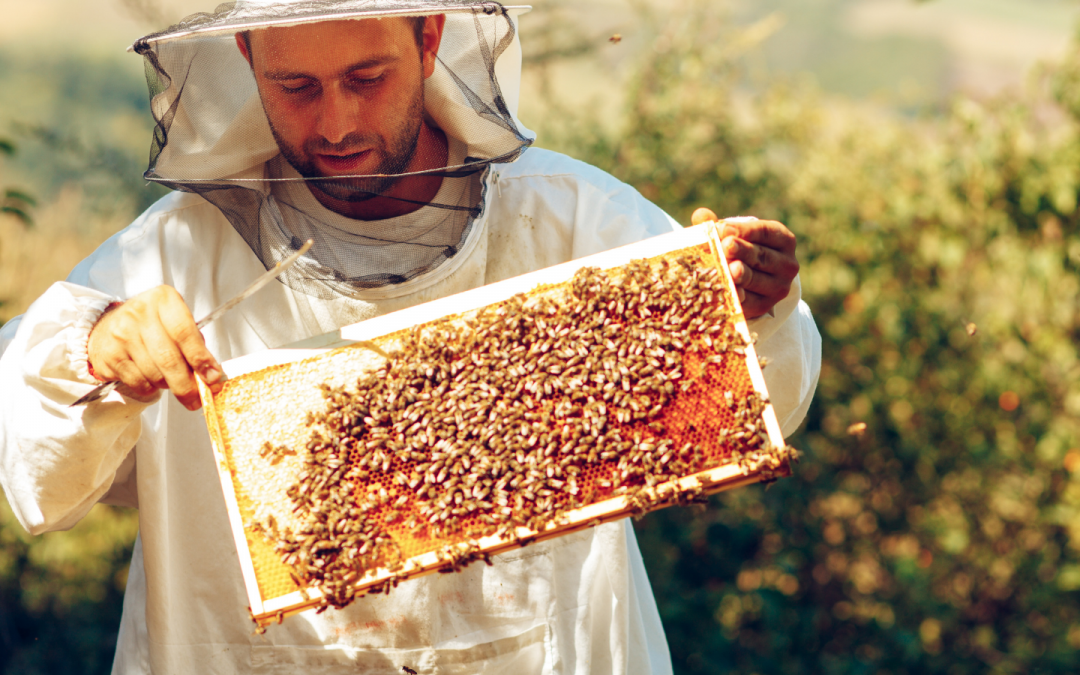 About Australian Beekeeping