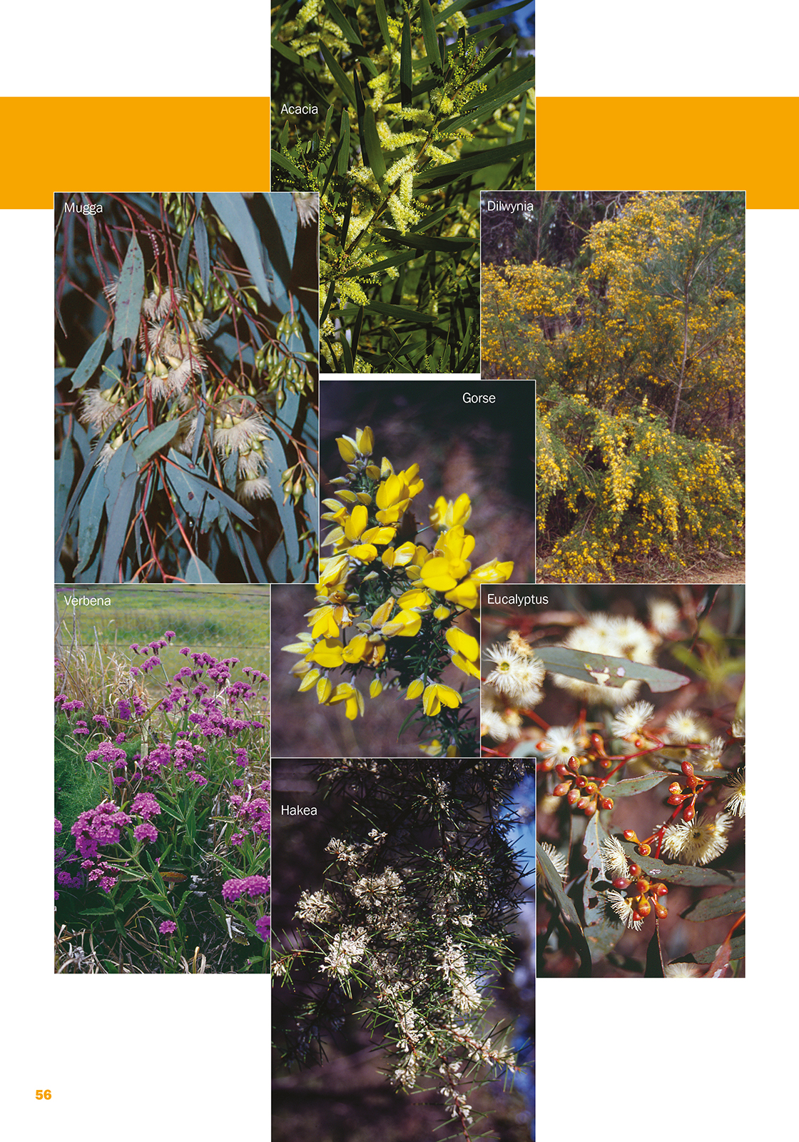 AgGuide - Bee AgSkills - Image 4