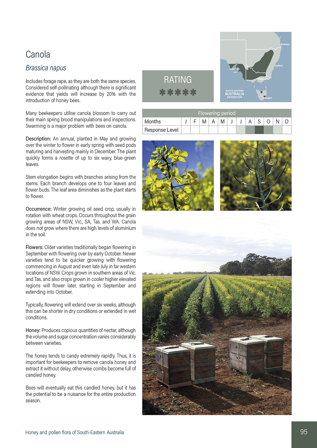 Honey and Pollen Flora of SE Australia - Image 2