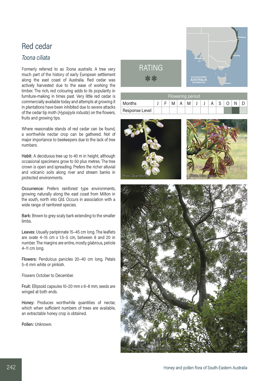 Honey and Pollen Flora of SE Australia - Image 3