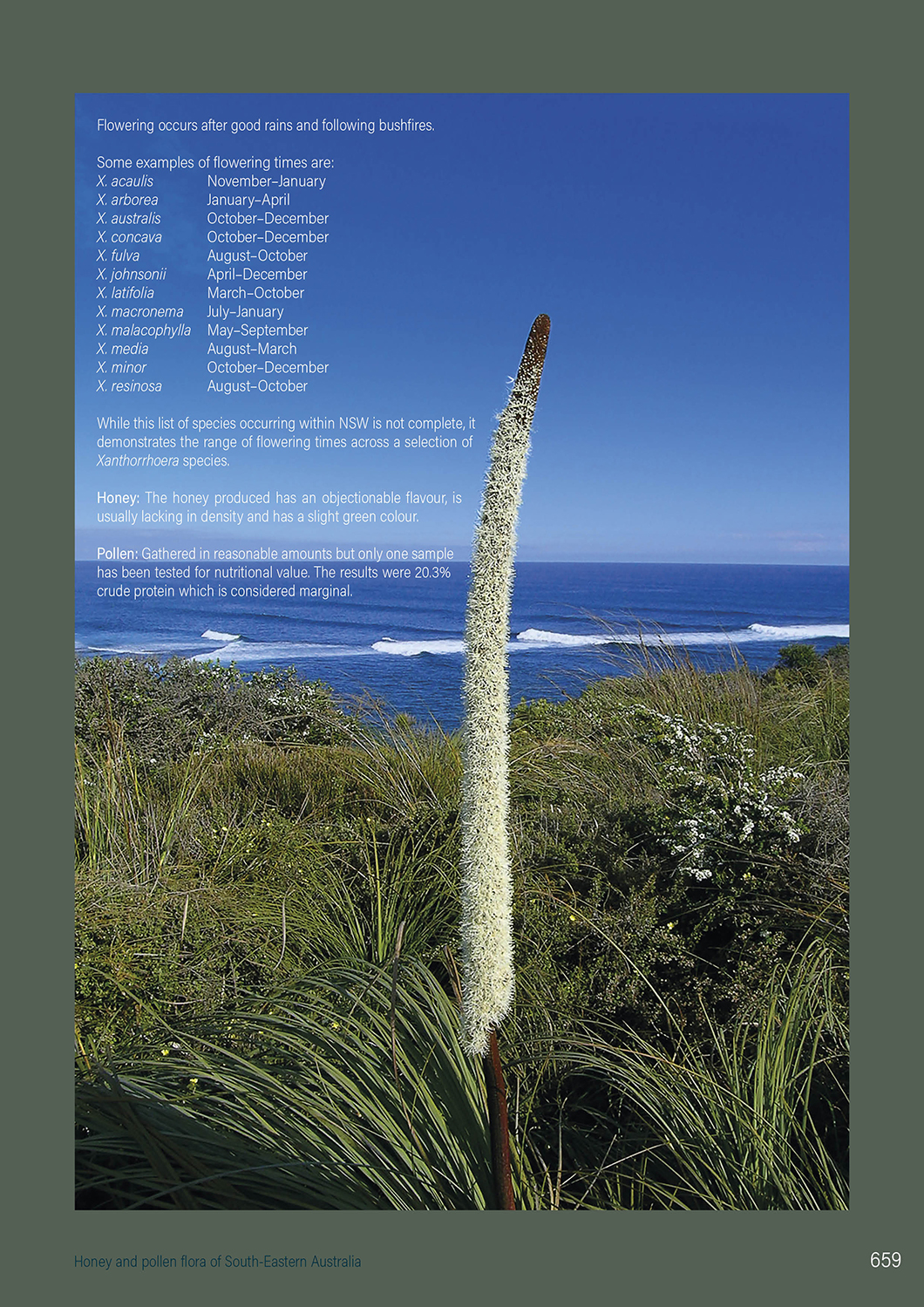 Honey and Pollen Flora of SE Australia - Image 5
