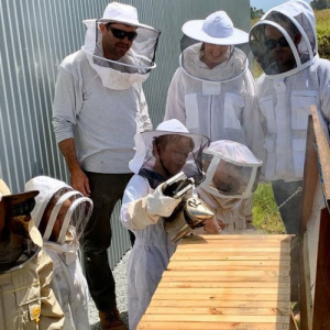 One on One Training (per hr)